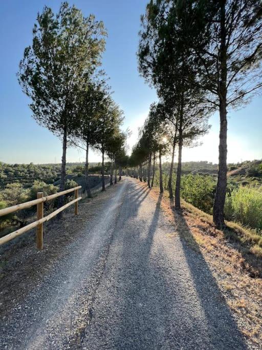 Apto. Rural Cielo. Al Lado Torre Jérica Exteriör bild